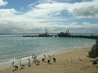 ...at the fishing pier of Venus Bay