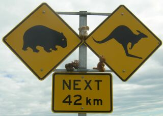 Crossing Wombats, Kangaroos ...