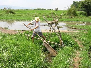 Fab working in the fields