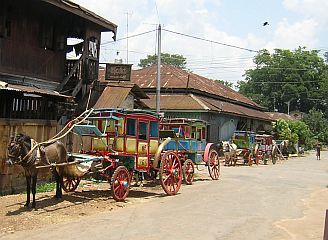 The horse cart taxi's