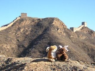 Rendy and Plukje in front of The Wall