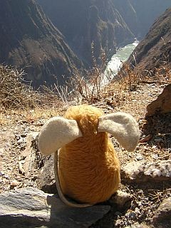 Plukje admiring the view (Yangtze river)