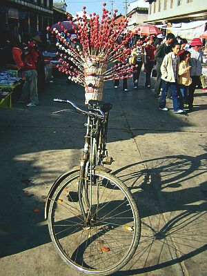 Candied fruit on a stick