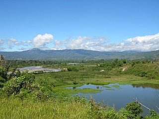 Green green Sulawesi