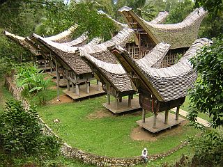 Traditional villages in the Toraja valley