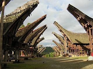 Traditional villages in the Toraja valley