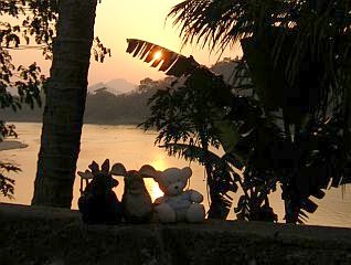 Three little friends enjoying the sunset