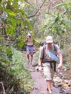 Alain and Fab in the jungle