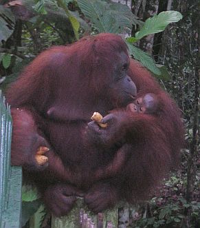 Delima and daughter Selina