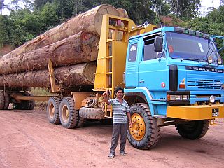 The happy logger