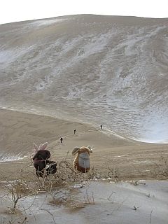 Rendy and Plukje in front of the Khongoryn Els sand dunes