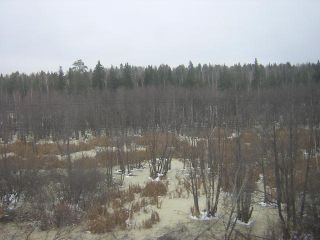 View from the train to Yekaterinburg