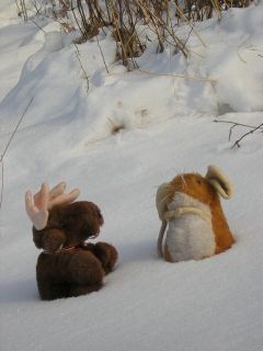 Rendy and Plukje enjoying the snow