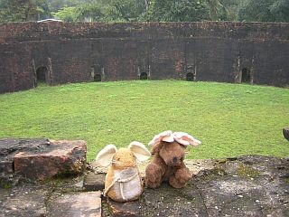 Plukje and Rendy in the Royal Arenas